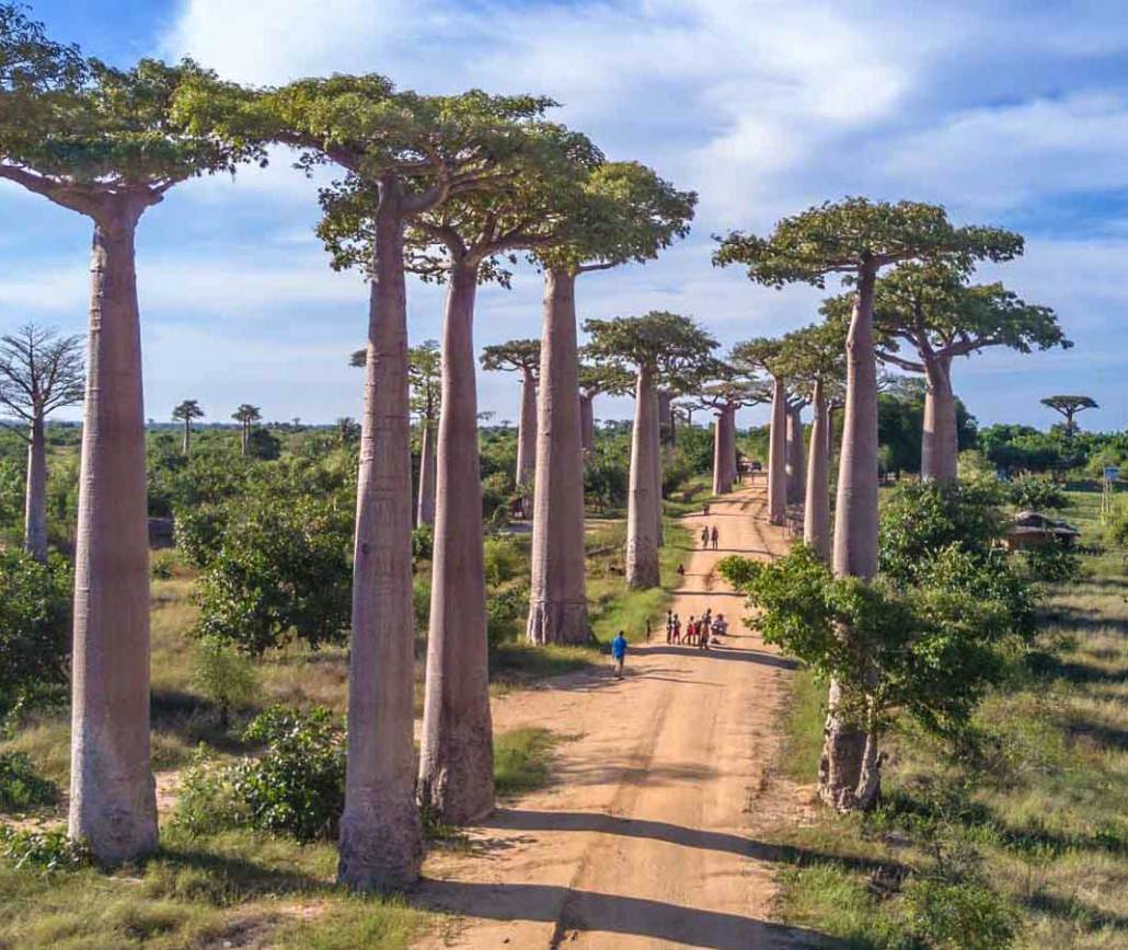 Madagascar