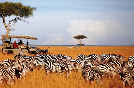 Maasai Mara